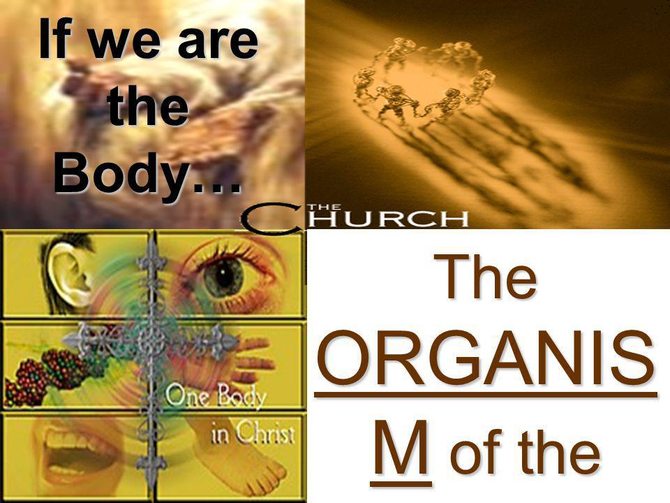 If we are the Body… The ORGANIS M of the Church
