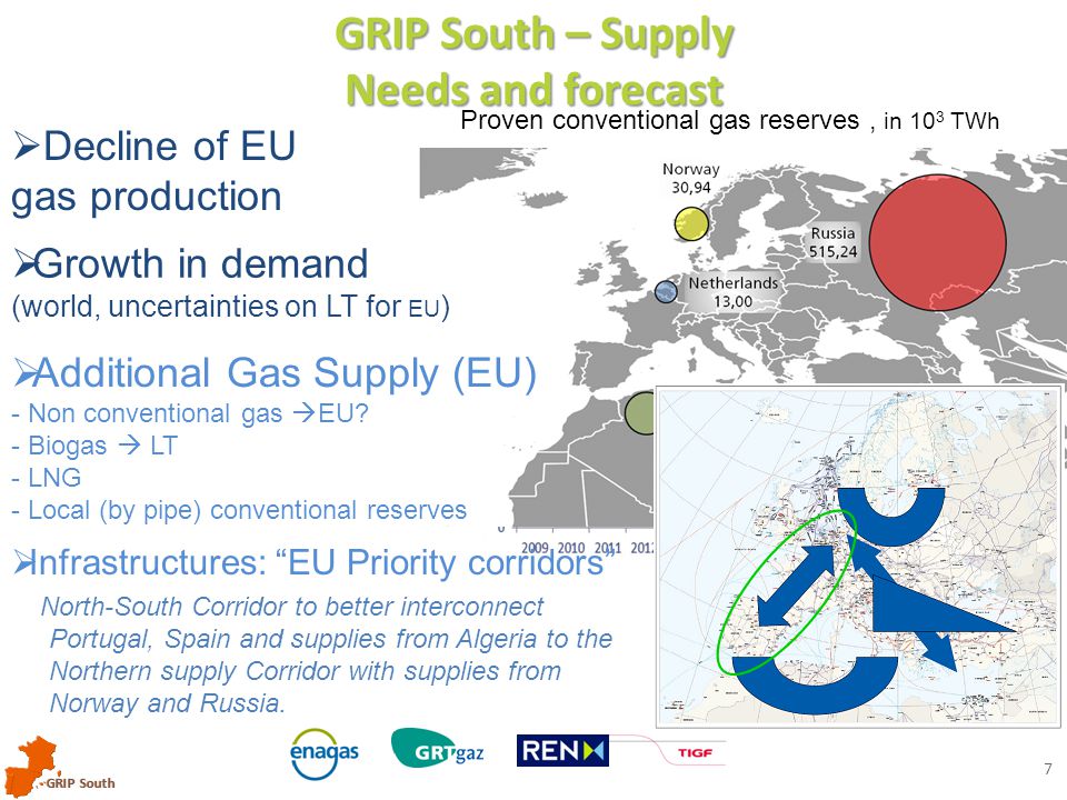 GRIP South 7 GRIP South – Supply Needs and forecast  Additional Gas Supply (EU) - Non conventional gas  EU.