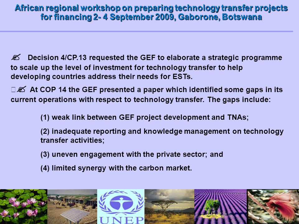  Decision 4/CP.13 requested the GEF to elaborate a strategic programme to scale up the level of investment for technology transfer to help developing countries address their needs for ESTs.