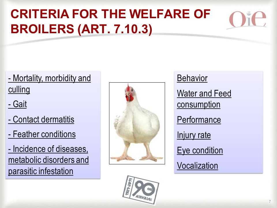 ...Jordan, 17-18 march 2014 oie animal welfare standards broiler. 