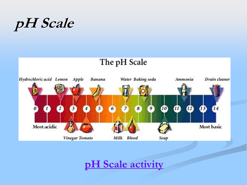 pH Scale pH Scale activity