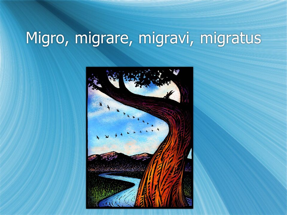 Migro, migrare, migravi, migratus