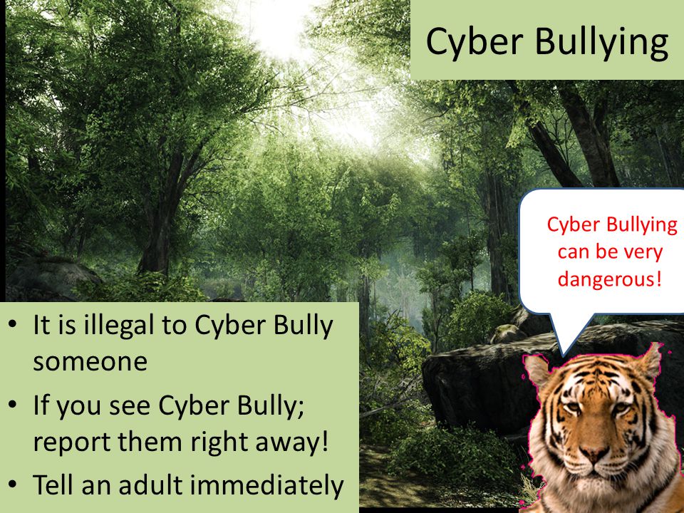 Cyber Bullying It is illegal to Cyber Bully someone If you see Cyber Bully; report them right away.