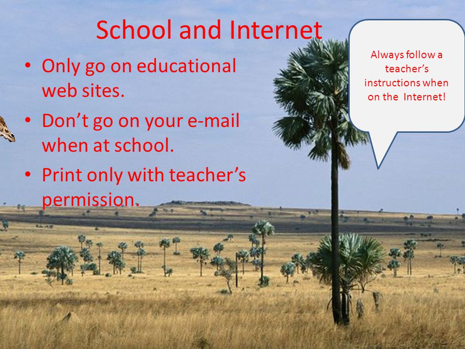 School and Internet Only go on educational web sites.