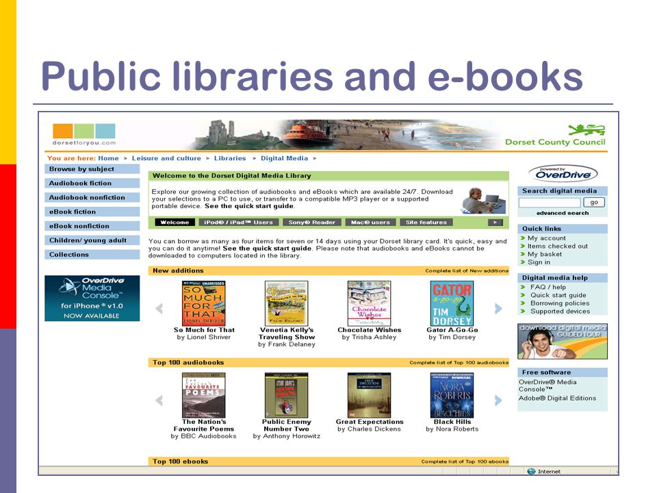 Public libraries and e-books