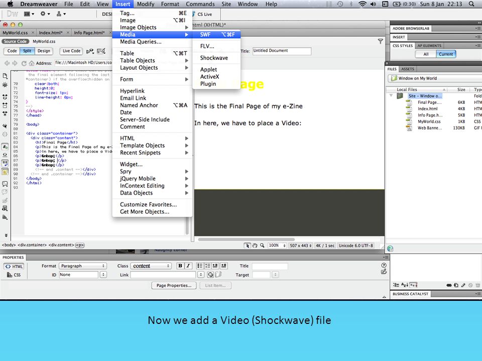 Now we add a Video (Shockwave) file