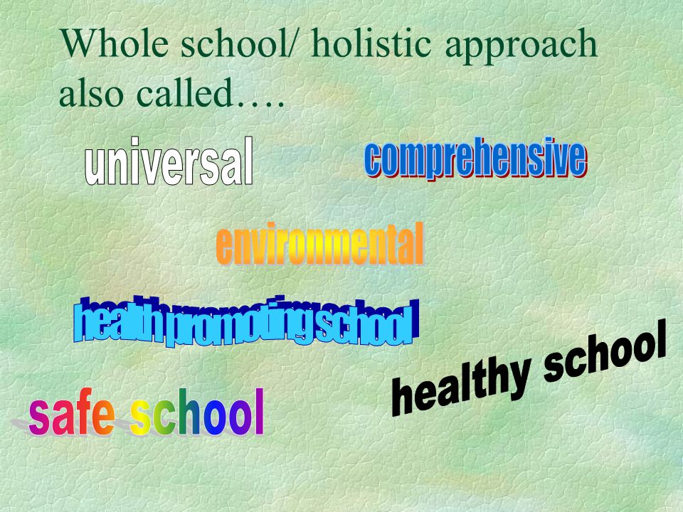 Whole school/ holistic approach also called….