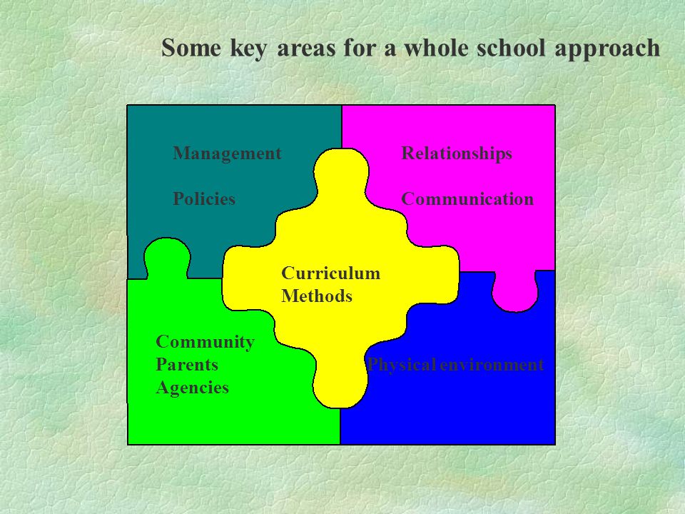 Physical environment Some key areas for a whole school approach Community Parents Agencies Management Policies Curriculum Methods Relationships Communication