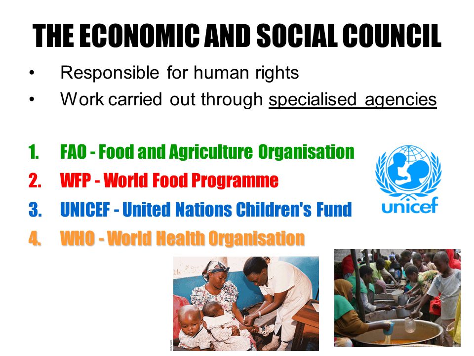 THE ECONOMIC AND SOCIAL COUNCIL Responsible for human rights Work carried out through specialised agencies 1.FAO - Food and Agriculture Organisation 2.WFP - World Food Programme 3.UNICEF - United Nations Children s Fund 4.WHO - World Health Organisation