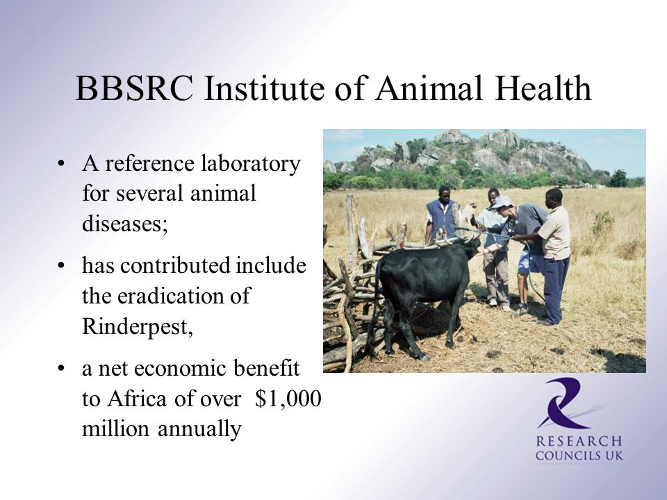 BBSRC Institute of Animal Health A reference laboratory for several animal diseases; has contributed include the eradication of Rinderpest, a net economic benefit to Africa of over $1,000 million annually