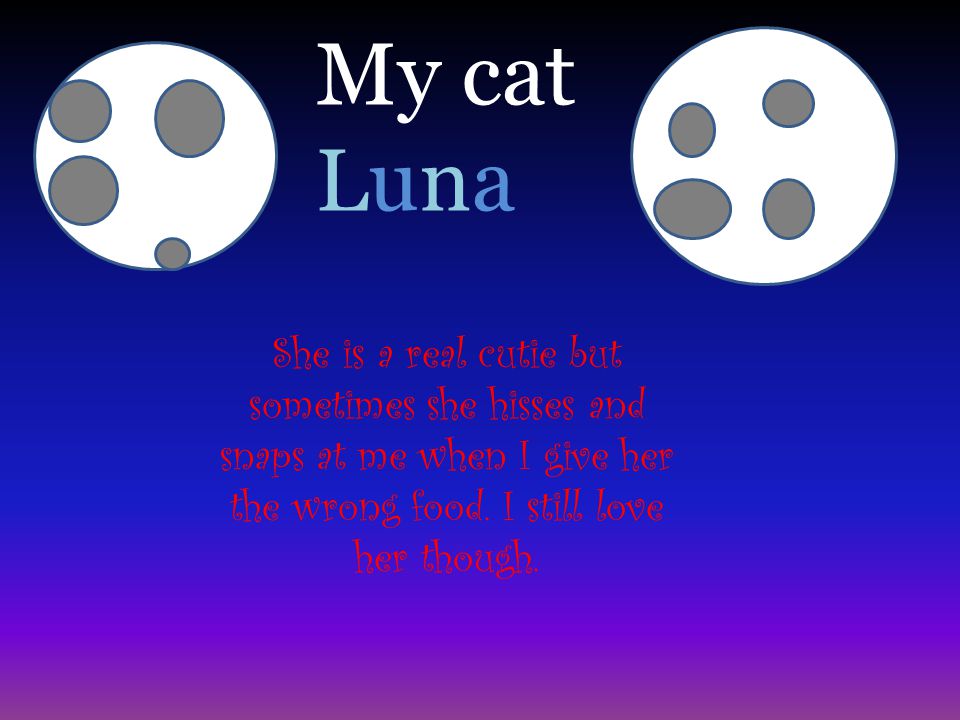My cat Luna She is a real cutie but sometimes she hisses and snaps at me when I give her the wrong food.