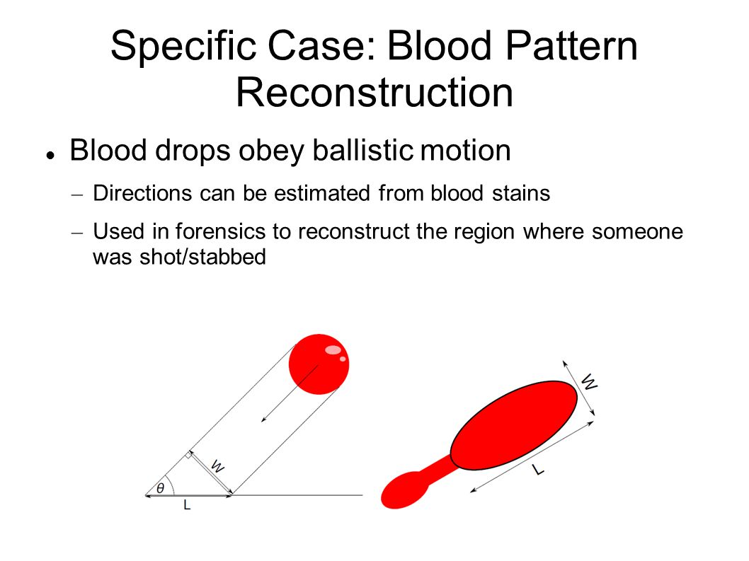 blood stain backtrack software download blood stain backtrack software download