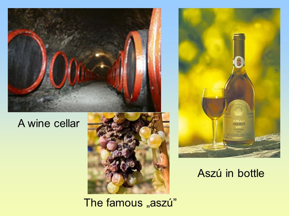 A wine cellar The famous „aszú Aszú in bottle