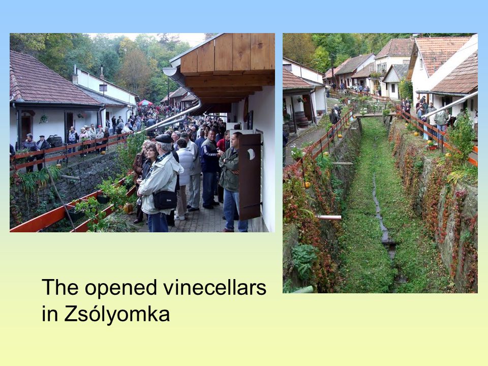 The opened vinecellars in Zsólyomka