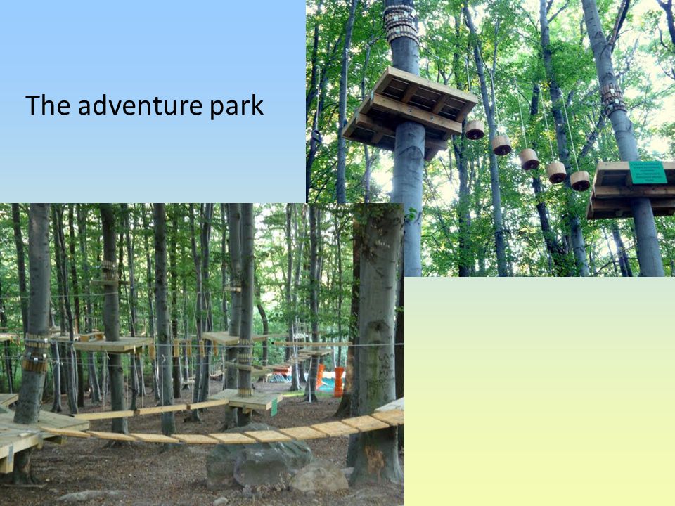 The adventure park