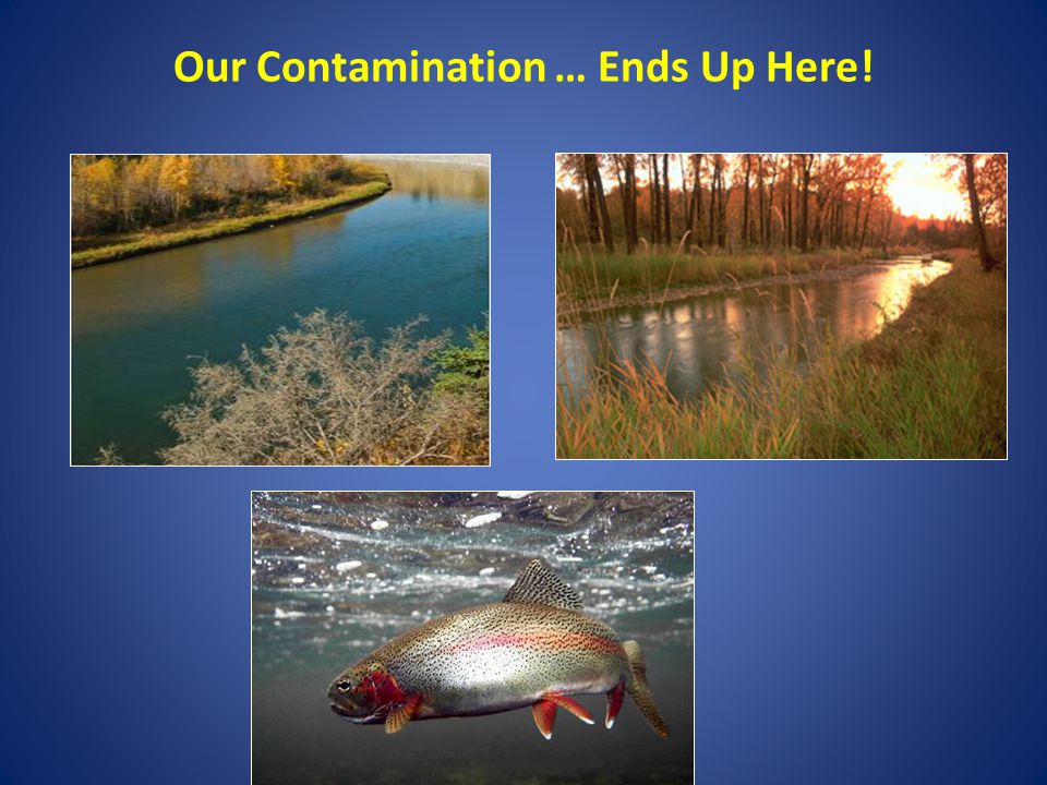 Our Contamination … Ends Up Here!