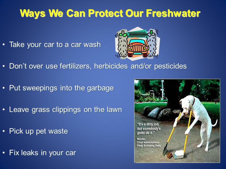 Ways We Can Protect Our Freshwater Take your car to a car washTake your car to a car wash Don’t over use fertilizers, herbicides and/or pesticidesDon’t over use fertilizers, herbicides and/or pesticides Put sweepings into the garbagePut sweepings into the garbage Leave grass clippings on the lawnLeave grass clippings on the lawn Pick up pet wastePick up pet waste Fix leaks in your carFix leaks in your car