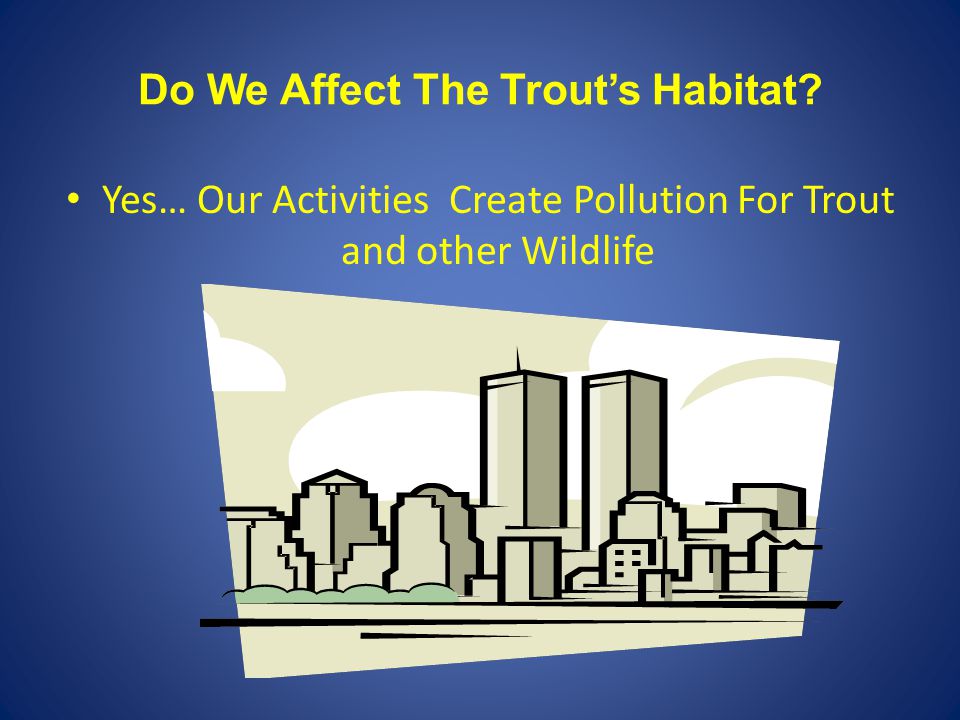 Do We Affect The Trout’s Habitat Yes… Our Activities Create Pollution For Trout and other Wildlife