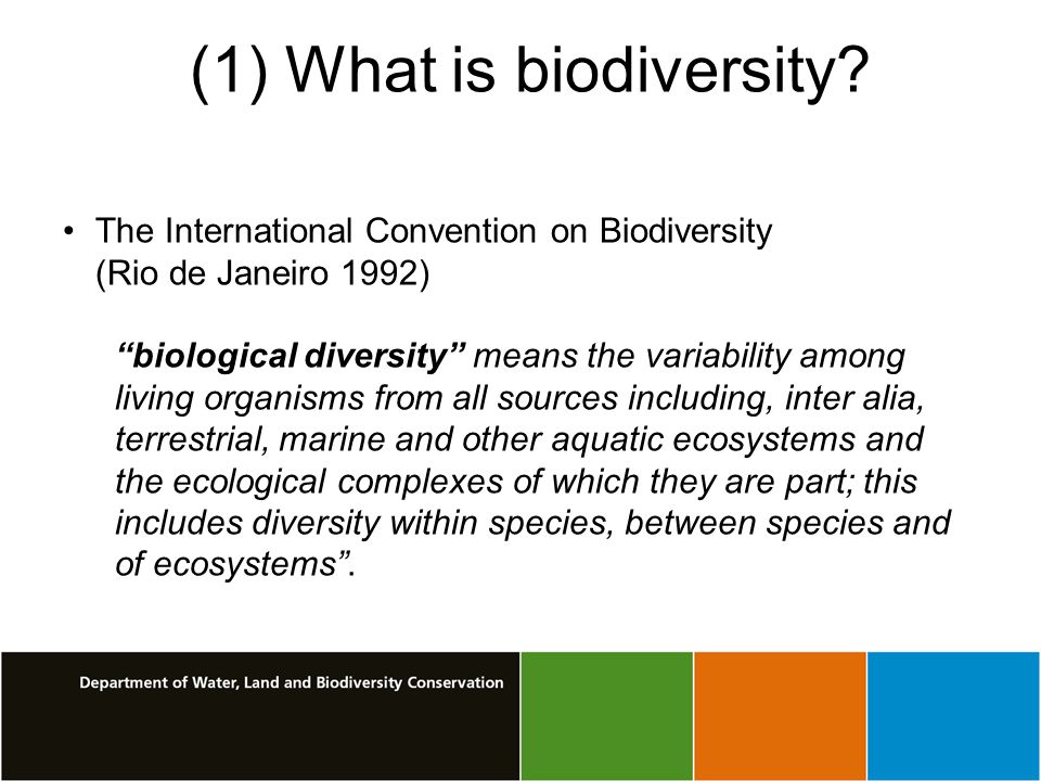 (1) What is biodiversity.