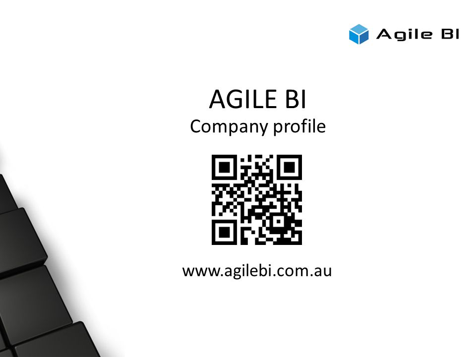 AGILE BI Company profile