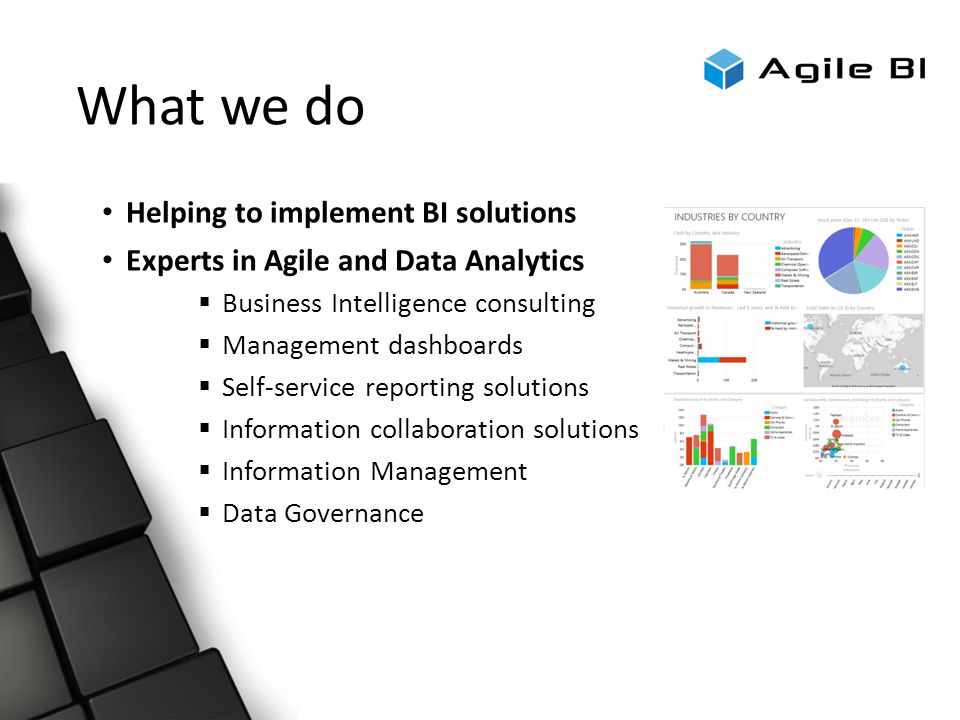 What we do Helping to implement BI solutions Experts in Agile and Data Analytics  Business Intelligence consulting  Management dashboards  Self-service reporting solutions  Information collaboration solutions  Information Management  Data Governance