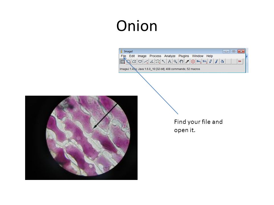 Onion Find your file and open it.