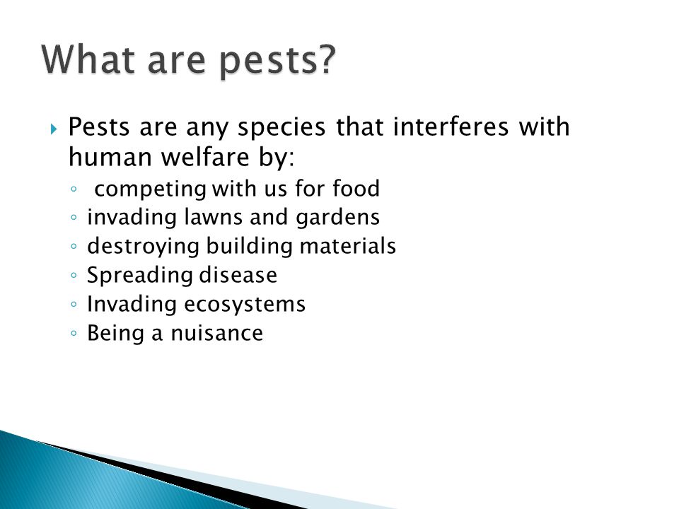  Pests are any species that interferes with human welfare by: ◦ competing with us for food ◦ invading lawns and gardens ◦ destroying building materials ◦ Spreading disease ◦ Invading ecosystems ◦ Being a nuisance