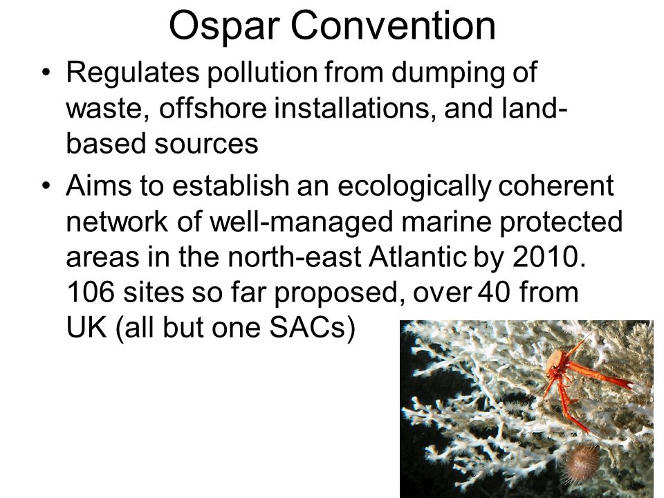 Ospar Convention Regulates pollution from dumping of waste, offshore installations, and land- based sources Aims to establish an ecologically coherent network of well-managed marine protected areas in the north-east Atlantic by 2010.