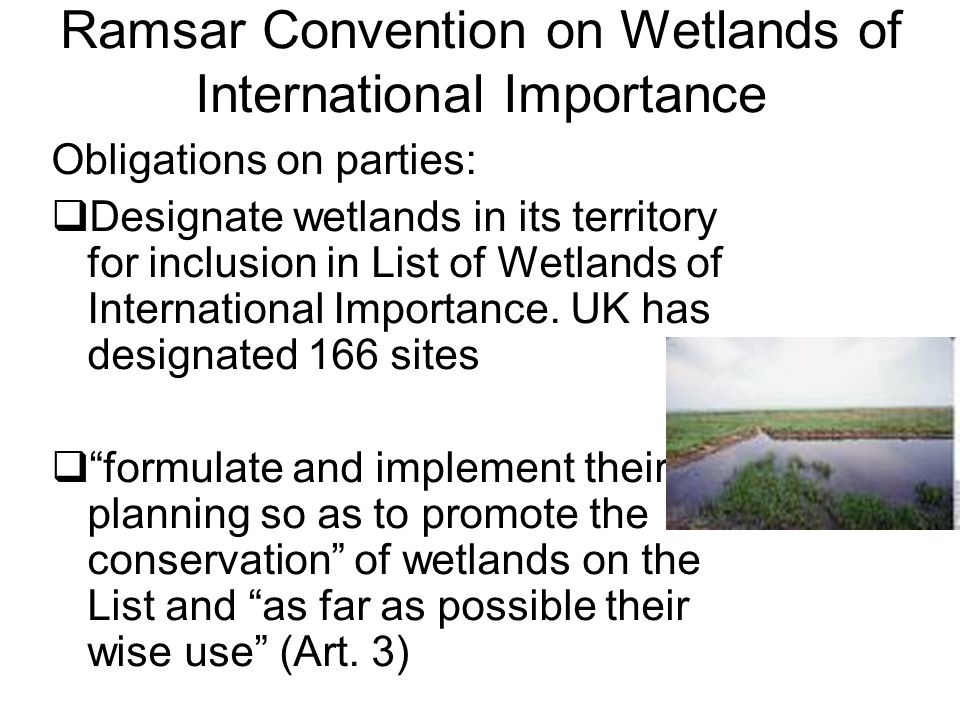 Ramsar Convention on Wetlands of International Importance Obligations on parties:  Designate wetlands in its territory for inclusion in List of Wetlands of International Importance.