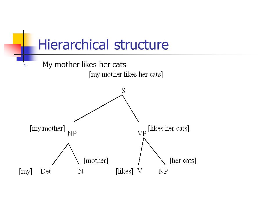 Hierarchical structure 1. My mother likes her cats