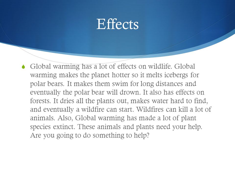 Effects  Global warming has a lot of effects on wildlife.
