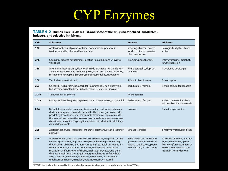 CYP Enzymes