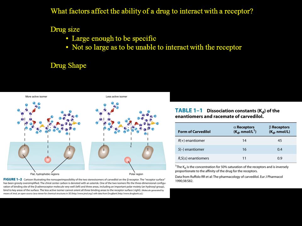 What factors affect the ability of a drug to interact with a receptor.