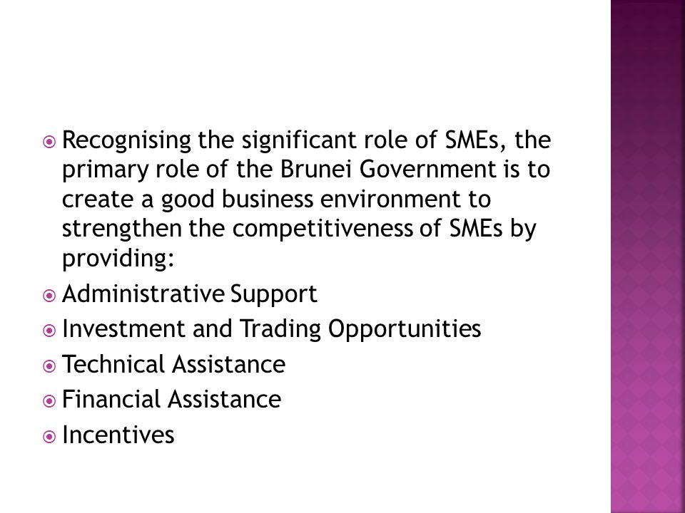  Recognising the significant role of SMEs, the primary role of the Brunei Government is to create a good business environment to strengthen the competitiveness of SMEs by providing:  Administrative Support  Investment and Trading Opportunities  Technical Assistance  Financial Assistance  Incentives