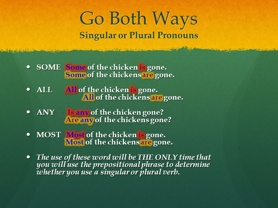 Go Both Ways Singular or Plural Pronouns