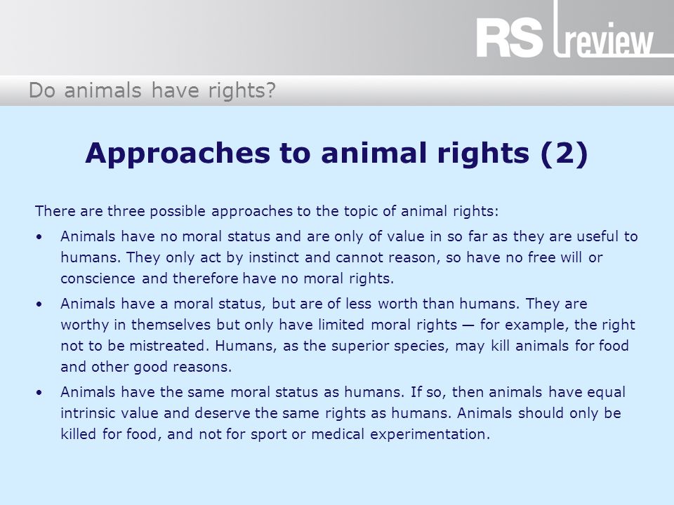 Do animals have rights?. Approaches to animal rights (1) Aristotle believed  that animals existed only to provide for human needs. They were not able  to. - ppt download