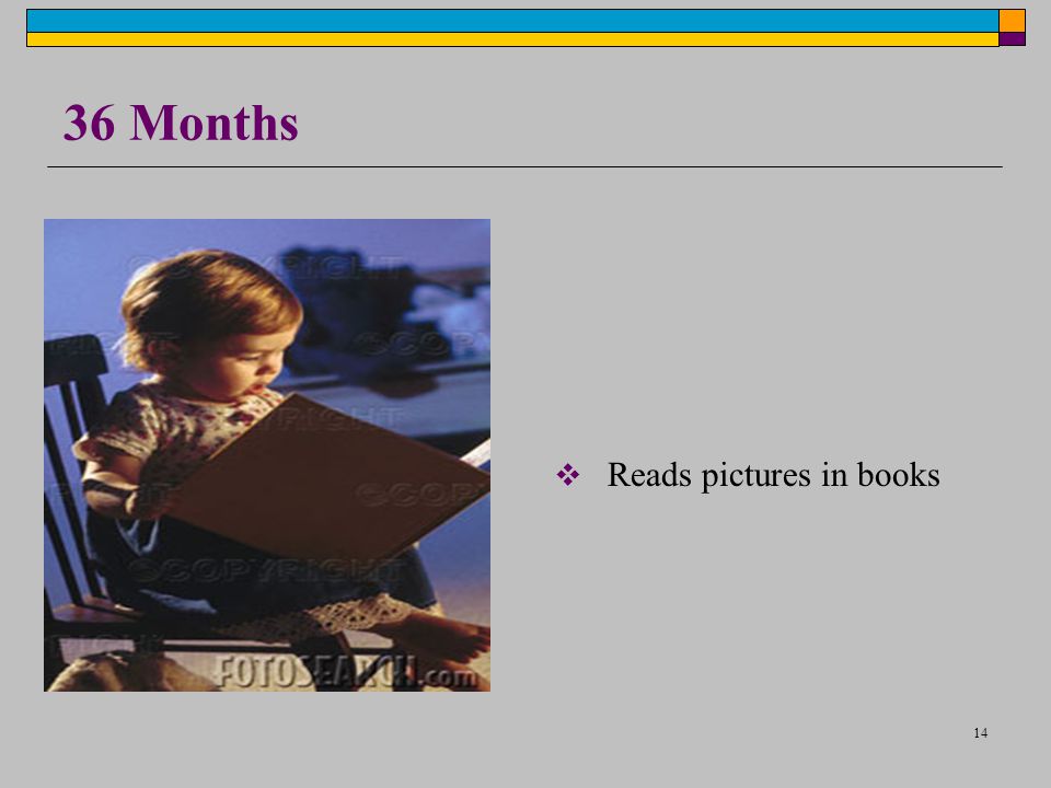 14 36 Months  Reads pictures in books