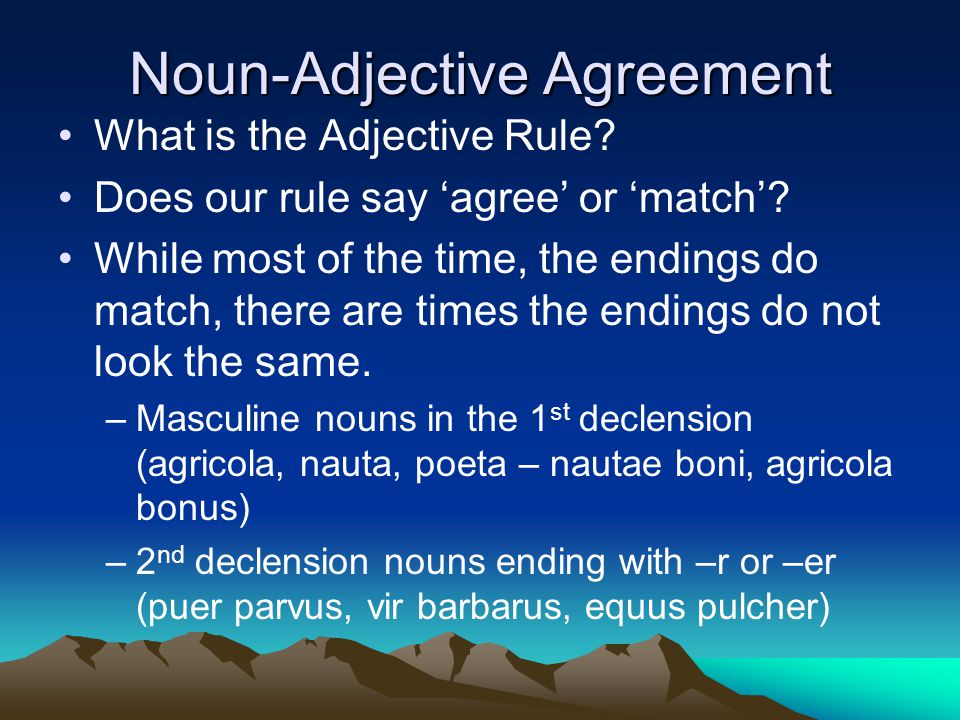 Noun-Adjective Agreement What is the Adjective Rule.