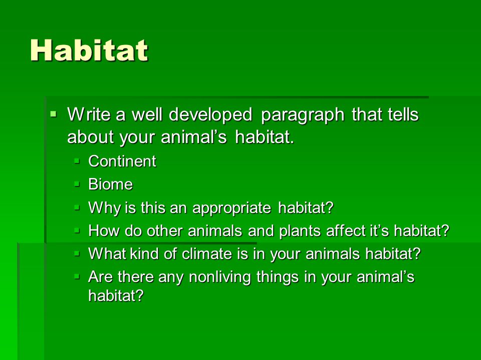 Animal Vocabulary  List words here.. Report Title Your Name This  presentation has been prepared under fair use exemption of the .  Copyright Law and. - ppt download