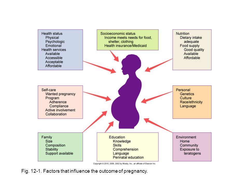 Fig Factors that influence the outcome of pregnancy.