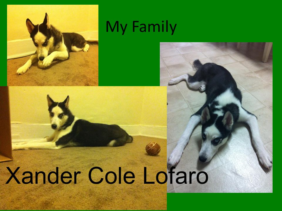 My Family Xander Cole Lofaro