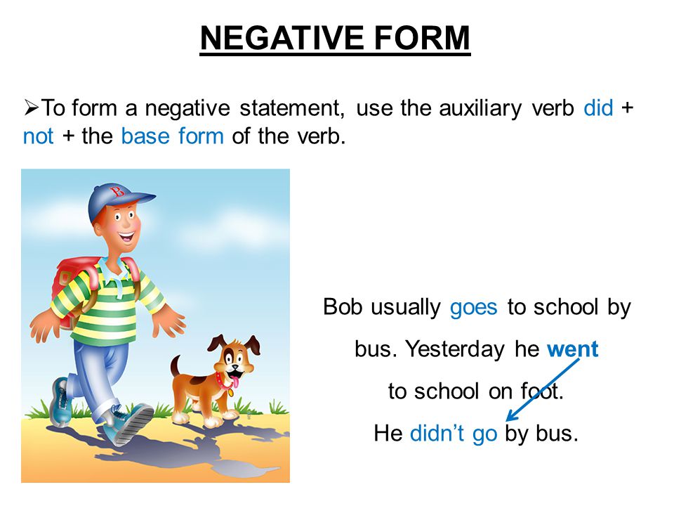 NEGATIVE FORM  To form a negative statement, use the auxiliary verb did + not + the base form of the verb.