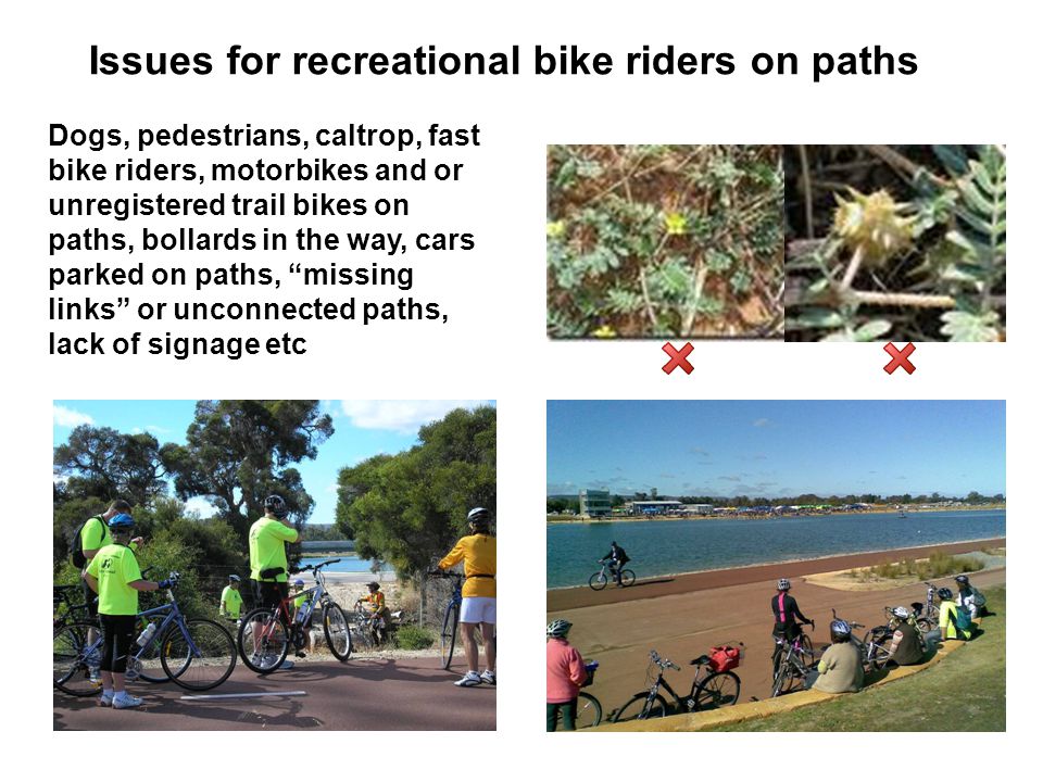 Dogs, pedestrians, caltrop, fast bike riders, motorbikes and or unregistered trail bikes on paths, bollards in the way, cars parked on paths, missing links or unconnected paths, lack of signage etc Issues for recreational bike riders on paths