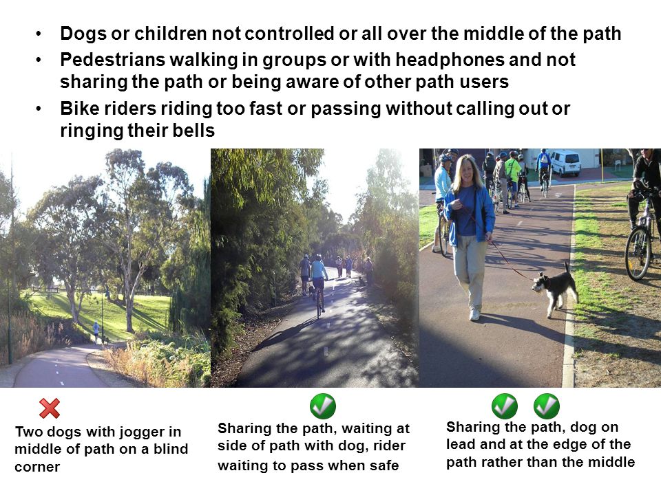 Dogs or children not controlled or all over the middle of the path Pedestrians walking in groups or with headphones and not sharing the path or being aware of other path users Bike riders riding too fast or passing without calling out or ringing their bells Sharing the path, dog on lead and at the edge of the path rather than the middle Two dogs with jogger in middle of path on a blind corner Sharing the path, waiting at side of path with dog, rider waiting to pass when safe