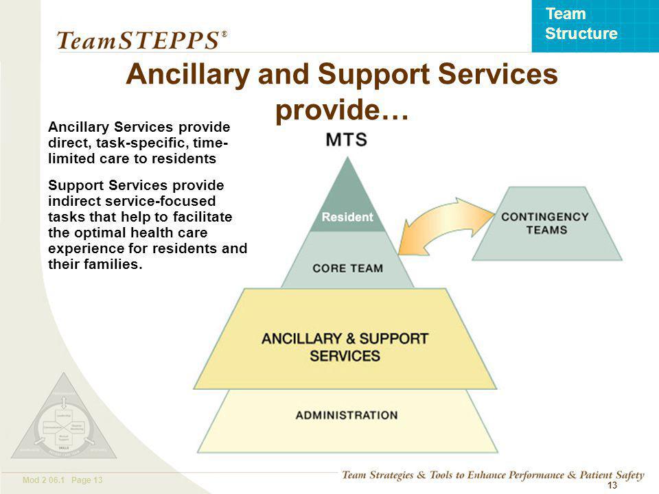 T EAM STEPPS 05.2 Mod Page 13 Team Structure ® 13 Ancillary Services provide direct, task-specific, time- limited care to residents Support Services provide indirect service-focused tasks that help to facilitate the optimal health care experience for residents and their families.