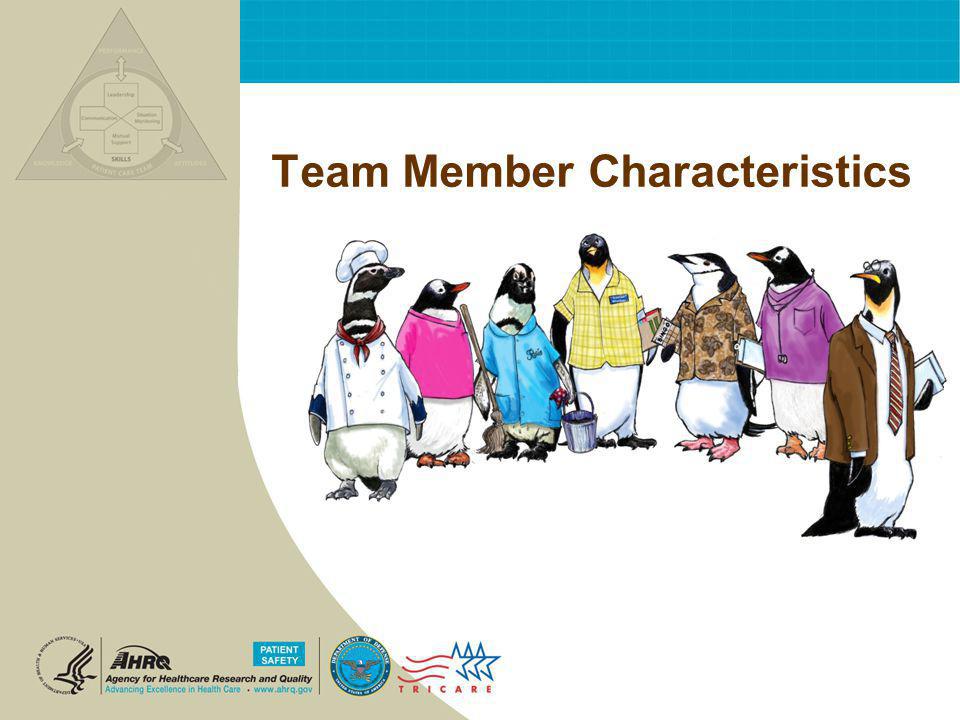 Team Member Characteristics