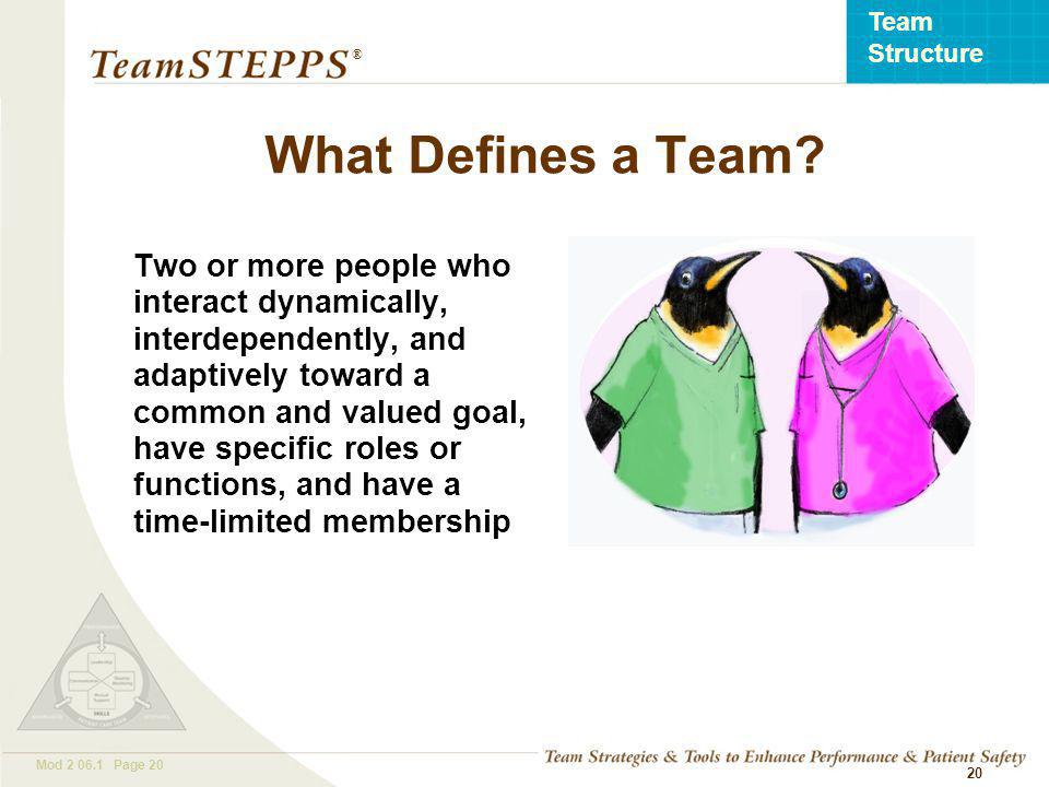 T EAM STEPPS 05.2 Mod Page 20 Team Structure ® 20 Two or more people who interact dynamically, interdependently, and adaptively toward a common and valued goal, have specific roles or functions, and have a time-limited membership What Defines a Team