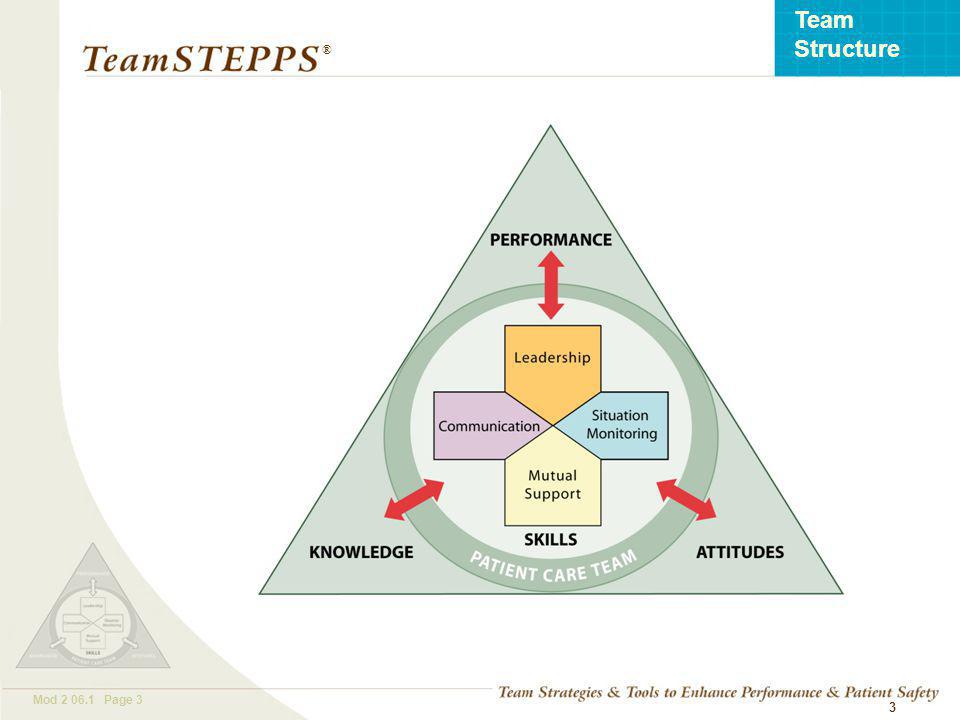 T EAM STEPPS 05.2 Mod Page 3 Team Structure ® 3