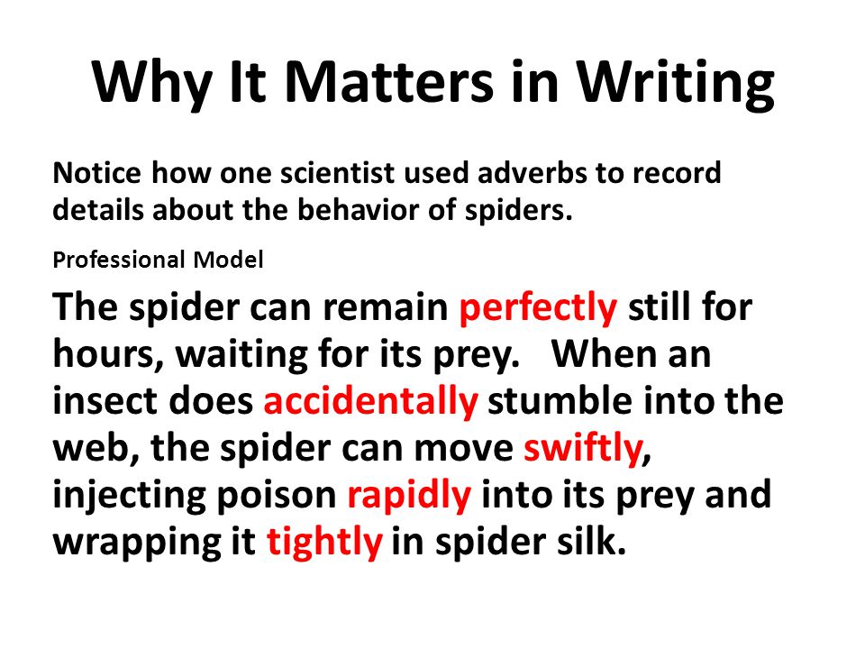 Why It Matters in Writing Notice how one scientist used adverbs to record details about the behavior of spiders.