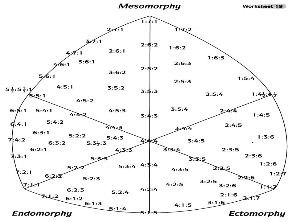 Somatotype Chart